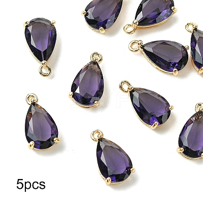 5Pcs Transparent Glass Charms GLAA-YW0004-41D-1