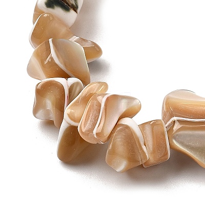 Natural Trochid Shell/Trochus Shell Beads Strands SHEL-B003-02A-1