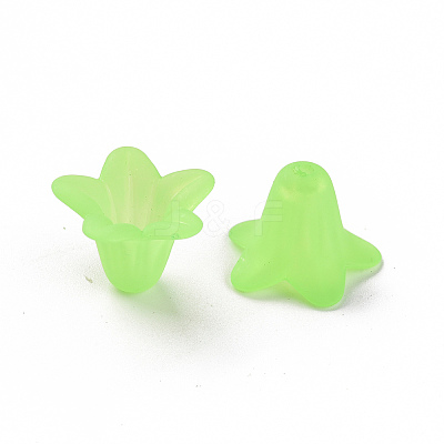 Transparent Acrylic Beads PLF018-05-1