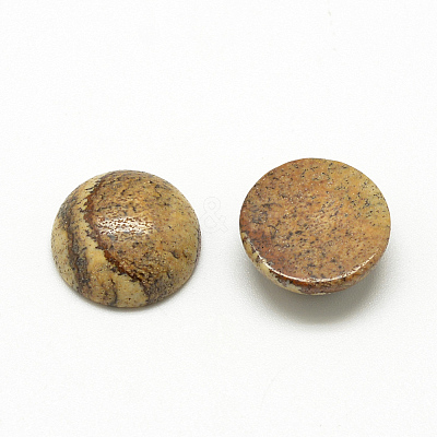 Natural Picture Jasper Cabochons G-R416-12mm-42-1