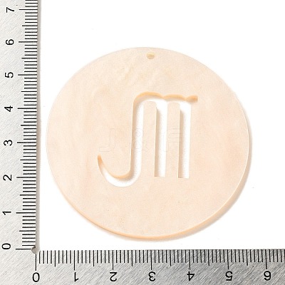 Acrylic Pendants LS-SACR-S680-06K-1