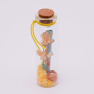 Mini Glass Wishing Bottles LS-GLAA-WH0018-77E-1