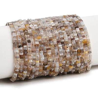 Natural Botswana Agate Beads Strands GG-CBA2498-C06-01-1