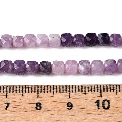 Gradient Color Natural Lepidolite Beads Strands G-N342-138B-1