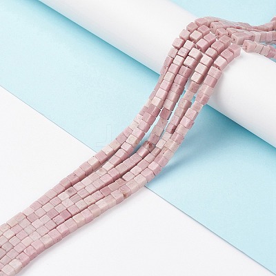 Natural Rhodonite Beads Strands X-G-F631-K20-1