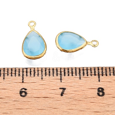K9 Glass Charms GLAA-T023-10C-1