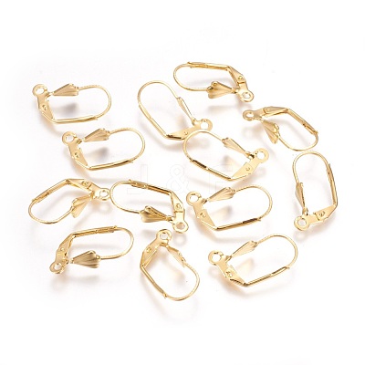 304 Stainless Steel Leverback Earrings Findings STAS-P227-45G-1