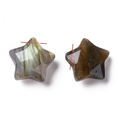 Natural Labradorite Charms G-H241-04C-1