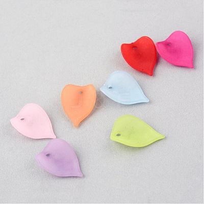 Transparent Acrylic Pendants FACR-Q009-20-1