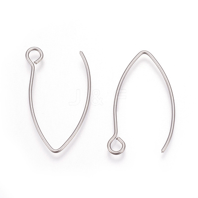 Tarnish Resistant 304 Stainless Steel Earring Hooks X-STAS-L216-03A-P-1