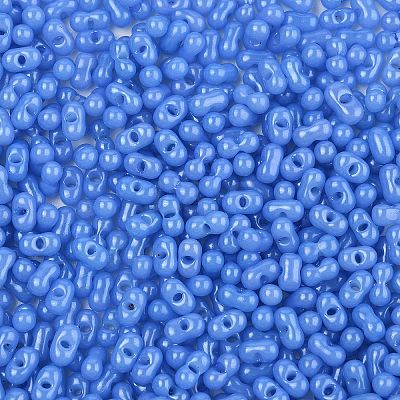 Baking Paint Glass Seed Beads SEED-L011-09A-05-1
