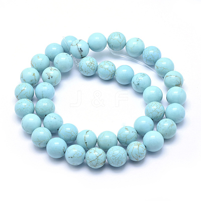Natural Magnesite Beads Strands TURQ-G148-07-10mm-1
