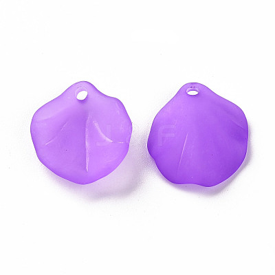Transparent Frosted Acrylic Pendants MACR-S371-02A-747-1