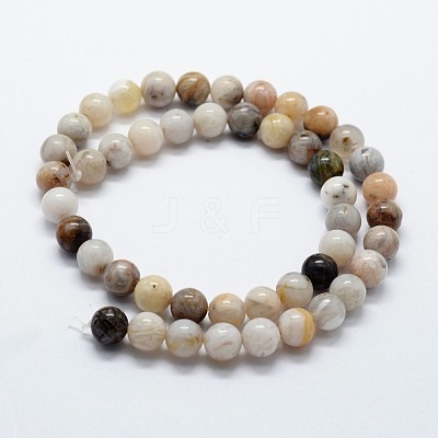 Natural Bamboo Leaf Agate Beads Strands G-I199-13-6mm-1