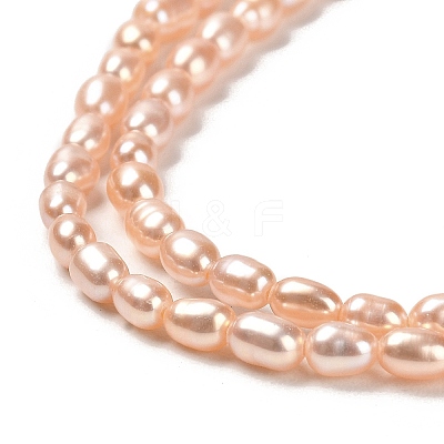 Natural Cultured Freshwater Pearl Beads Strands PEAR-E016-141-1
