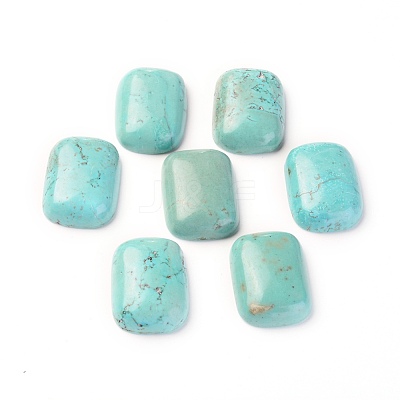 Natural Howlite Cabochons TURQ-L031-039A-1