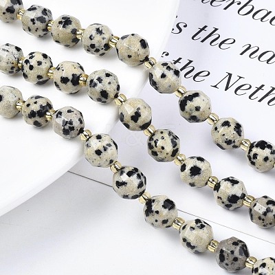 Natural Dalmatian Jasper Beads Strands G-N326-100-02-1