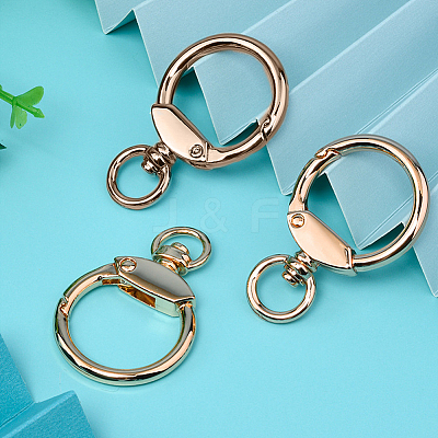 20Pcs Alloy Swivel Key Chain Spring Gate Clasp FIND-AN0001-54-1