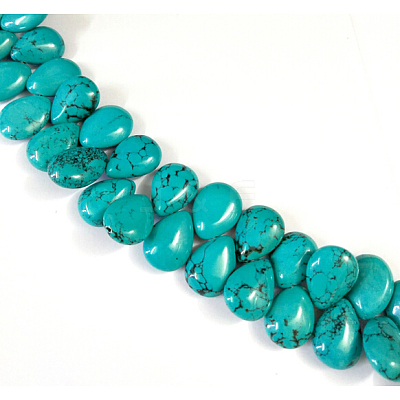Natural Magnesite Beads Strands TURQ-K003-28B-1