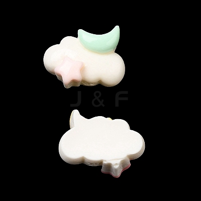 Cartoon Opaque Resin Cabochons RESI-C039-04B-1