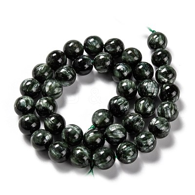 Natural Seraphinite Beads Strands G-E557-22B-1