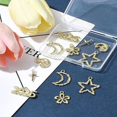 12Pcs 6 Styles Alloy Pendants FIND-FS0003-38G-1