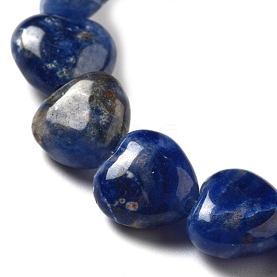 Natural Sodalite Beads Strands G-P528-C09-01-1