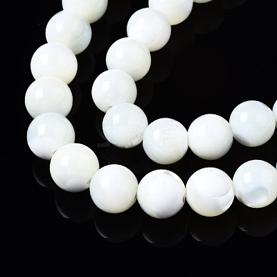 Natural Trochid Shell/Trochus Shell Beads Strands SSHEL-S266-023A-03-1
