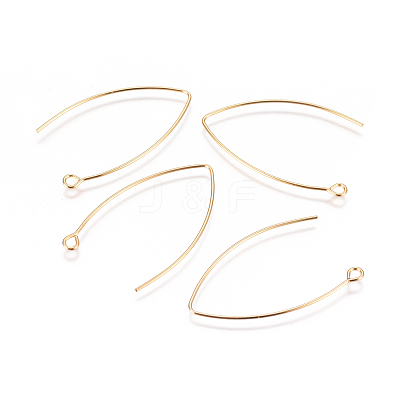 304 Stainless Steel Earring Hooks X-STAS-F227-26B-G-1
