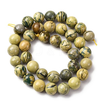 Natural Verdite Stone Beads Strands G-C242-03-10mm-1