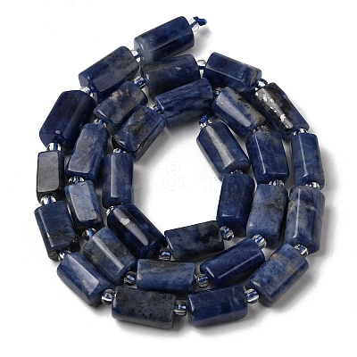 Natural Sodalite Beads Strands GG-CBA56E5-02-1