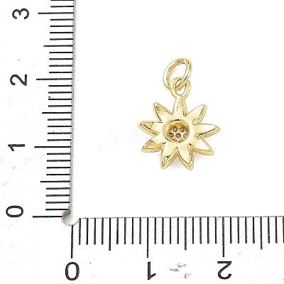 Brass Micro Pave Clear Cubic Zirconia Charms CU-CBADD0C-08G-1