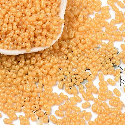 Baking Paint Glass Seed Beads SEED-L011-09A-04-1
