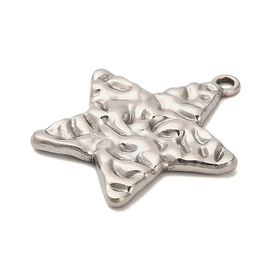 304 Stainless Steel Pendants X-STAS-P417-04B-P-1