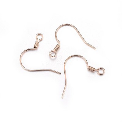 304 Stainless Steel Earring Hooks STAS-P210-22RG-1
