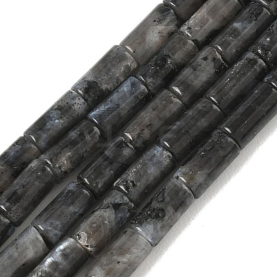 Natural Larvikite Beads Strands G-B091-A20-01-1