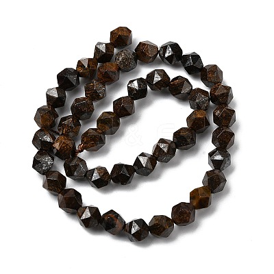 Natural Bronzite Beads Strands G-Z119-A30-02-1