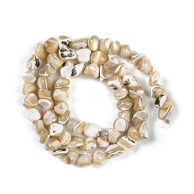 Natural Trochus Shell Beads Strands BSHE-H109-10-1
