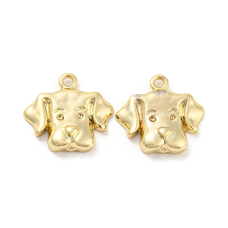 Rack Plating Brass Charms KK-C038-05G-1