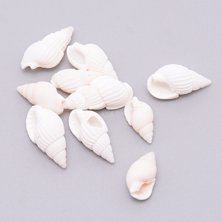 Natural Conch Shell Beads SSHEL-WH0001-29-1