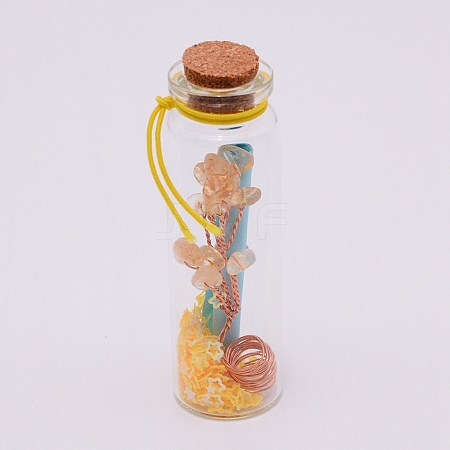 Mini Glass Wishing Bottles LS-GLAA-WH0018-77E-1