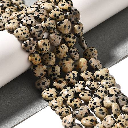 Natural Dalmatian Jasper Beads Strands G-R190-10mm-63-1