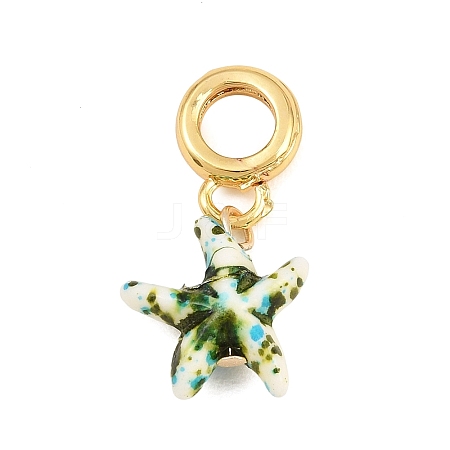 Brass Resin European Dangle Charms KK-CBA3642-01G-06-1