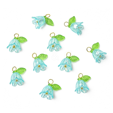 Transparent Acrylic Pendants PALLOY-YW00081-04-1