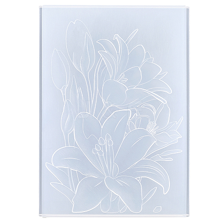 PP Plastic Embossing Folder Templates DIY-WH20048-050B-1