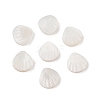 Natural Freshwater Shell Beads SHER-R100-04A-1