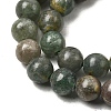Natural Green Apatite Beads Strands G-K350-C04-6mm-4