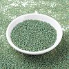 MIYUKI Round Rocailles Beads SEED-G007-RR0374-2