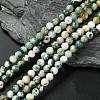 Natural Tree Agate Beads Strands G-K194-6mm-02-1