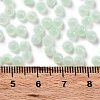 Glass Seed Beads SEED-M011-02A-14-4